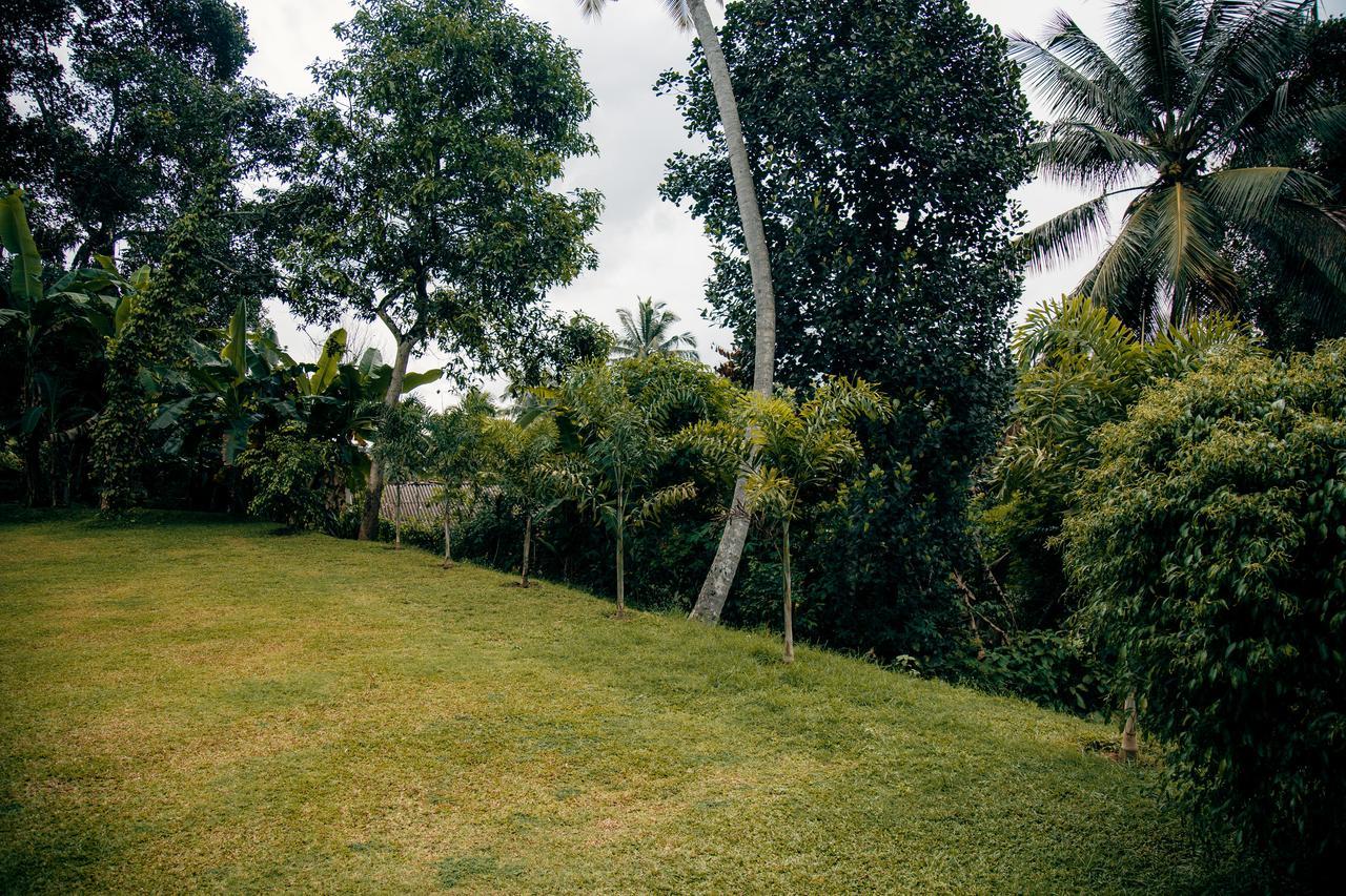Thomasz Lodge Kandy Exterior foto